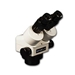 Binocular Bodies