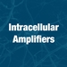 Intracellular Amplifiers