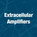 Extracellular Amplifiers