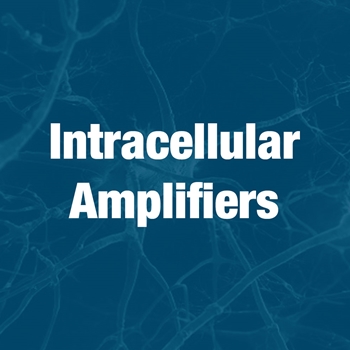 Intracellular Amplifiers