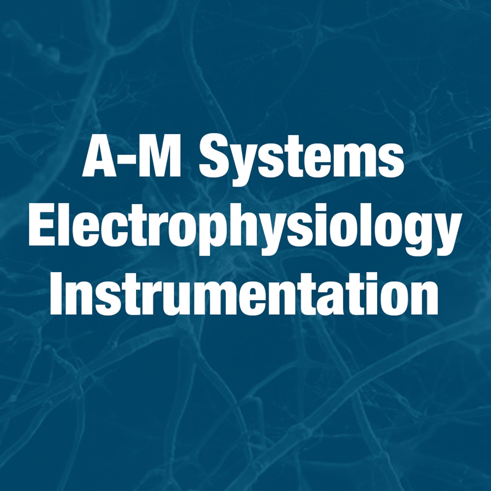 Electrophysiology Equipment, Neuroscience Instrument, Extracellular and Intracellular Amplfier, Patch Clamp