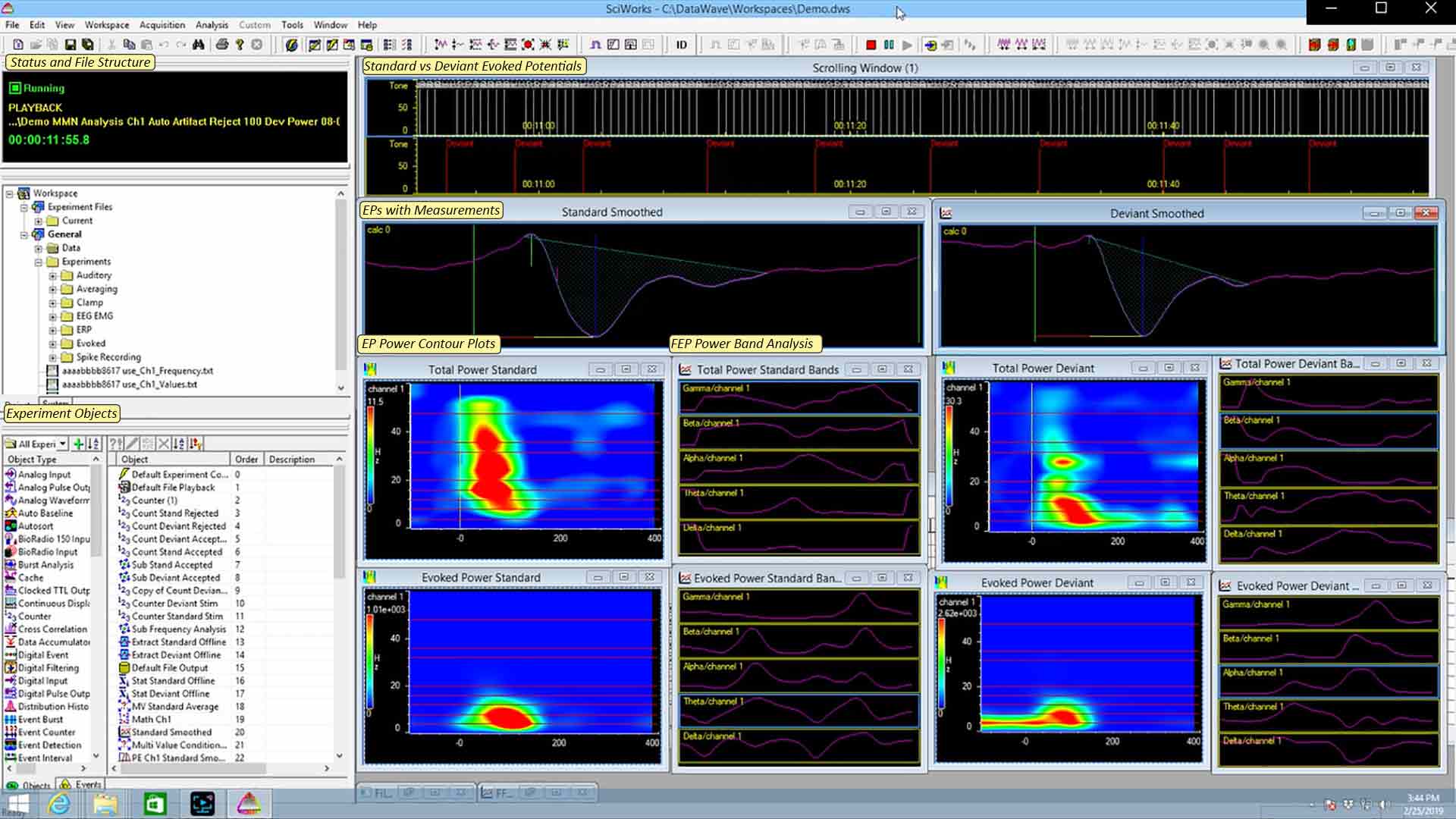 Mismatched Negativity Study in SciWorks Data Acquisition & Analysis Suite